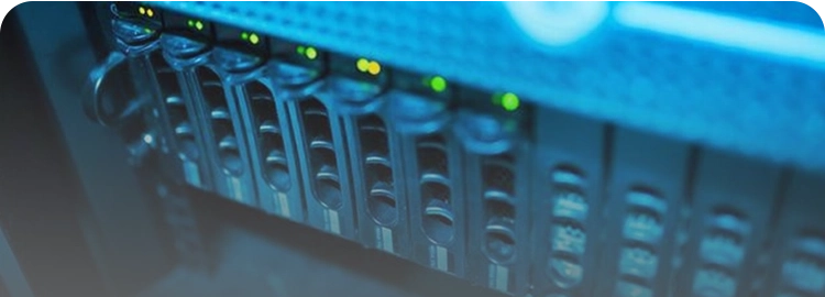 cultivo_1767758586429